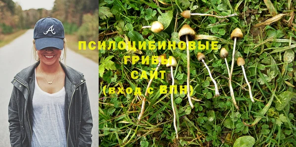 spice Баксан
