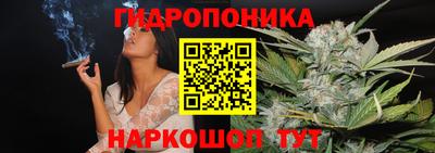 apvp Беслан