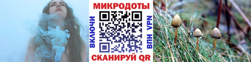 где продают наркотики  Дальнегорск  Галлюциногенные грибы Magic Shrooms 
