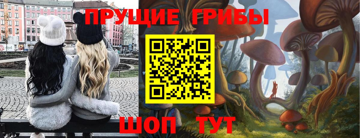 Кодеин Дальнегорск