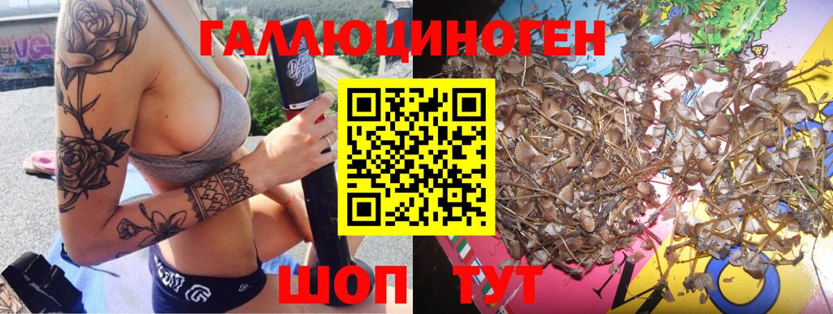 Галлюциногенные грибы Magic Shrooms  Псилоцибиновые грибы GOLDEN TEACHER  Вход с VPN  Дальнегорск 